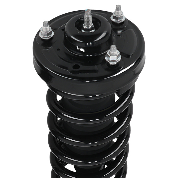 Complete Rear Front Struts Assembly fit for Ford F-150 04-08 Lincoln Mark LT 06-08-5