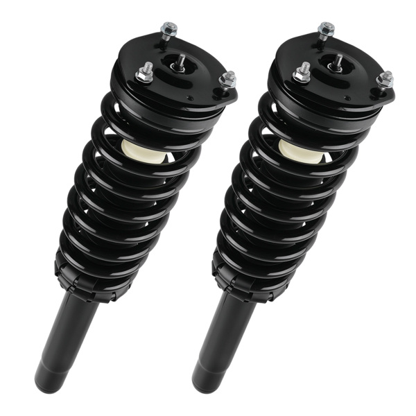 Front Pair Quick Struts & Coil Spring fit for Mercury Milan 2010-2011 3.0L 172596-6
