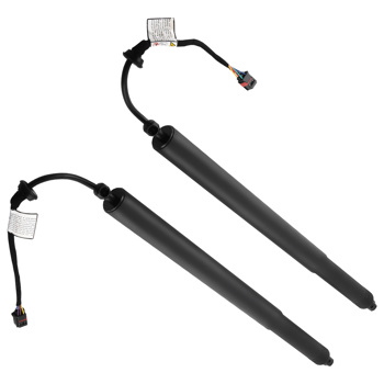 2pcs Rear Trunk Liftgate Tailgate Struts Arms fit for Hyundai Palisade 81841S8100