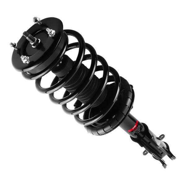 Front Quick Complete Strut-Coil Sping fit for Ford Mustang 2005-2010 172138-2