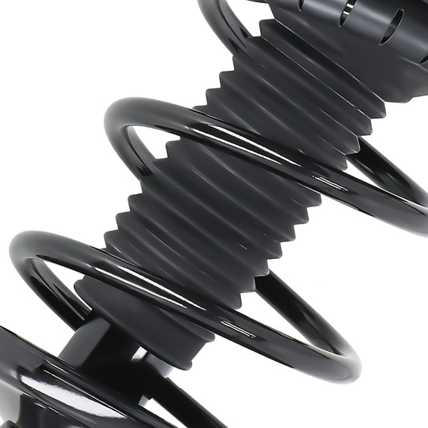 Strut Spring Shock Absorbers Front fit for Toyota RAV4 AWD 2000-2005 171454 171453-2