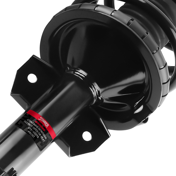 Front Quick Complete Strut-Coil Sping fit for Ford Mustang 2005-2010 172138-4