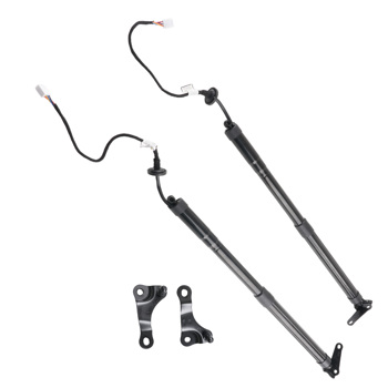 2Pcs Rear Electric Tailgate Strut fit for Lexus 200t 6892079016 6891079016 2018-2020