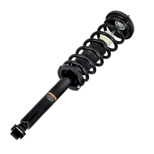 2x Rear Struts & Shocks Assembly Set fit for 2003-2007 Honda Accord 04-08 Acura TL-4