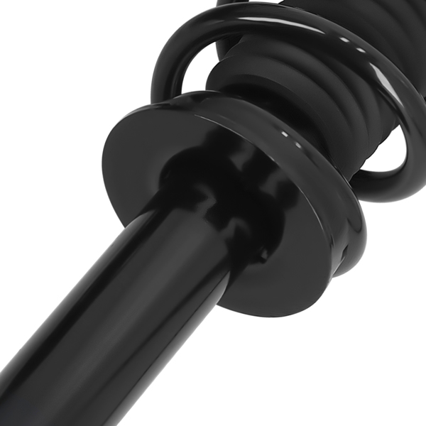 Front Quick Complete Strut-Coil Sping fit for Dodge Challenger 2012-2018 272665-4
