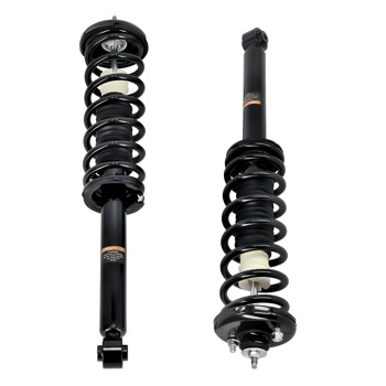 2x Rear Struts & Shocks Assembly Set fit for 2003-2007 Honda Accord 04-08 Acura TL