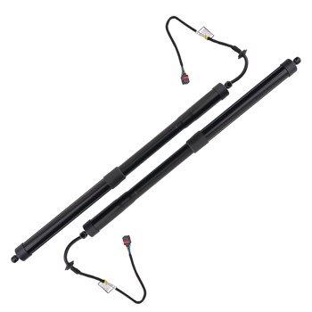 2Pcs Tailgate Hatch Lift Support Rear fit for Nissan Pathfinder 2017-2020 SKPL615064