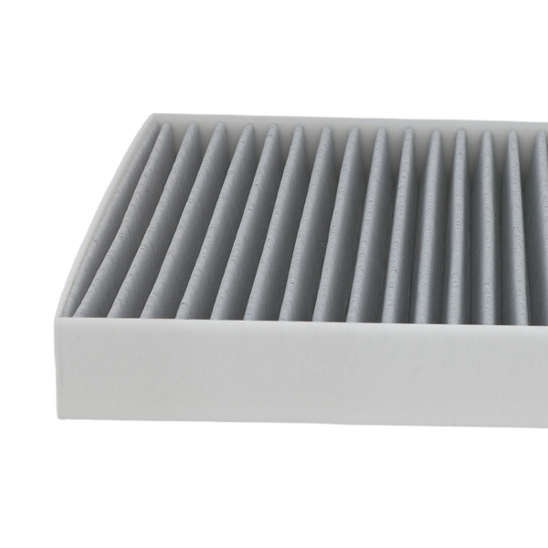 Cabin Air Filter fit for Ram 1500 V8 4.7L 2014-2015 5058693AA CF10729 C25869-3