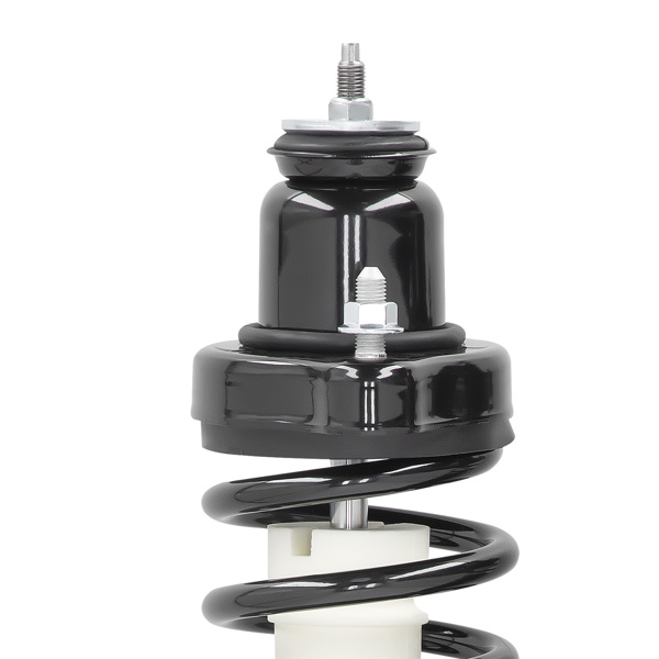 1 Pair Rear Strut Spring Assembly fit for Mitsubishi Lancer 2008-2010 DE/ES-3