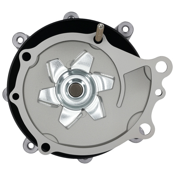 Water Pump & Fan Clutch fit for Datsun 200SX L4 2.0L/2.2L 1977-1983 21010-N5826-6