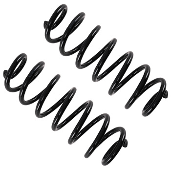 Pair Rear Left & Right Coil Spring fit for VW Passat 2006-2018 3.6L 3C0511115AD