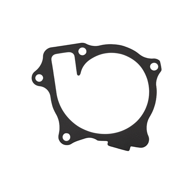 Engine Coolant Water Pump fit for John Deere 5325N Powertech 2.4L RE507604 RE545573-2