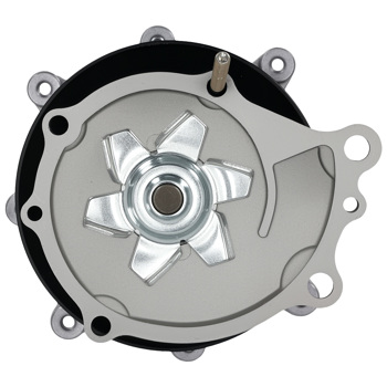 Water Pump & Fan Clutch fit for Datsun 200SX L4 2.0L/2.2L 1977-1983 21010-N5826