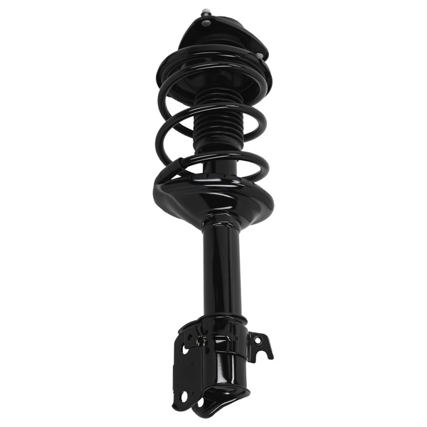 Front Rear Complete Struts Coil Spring fit for 2000-2004 Subaru Outback 2.5L 3.0L-3