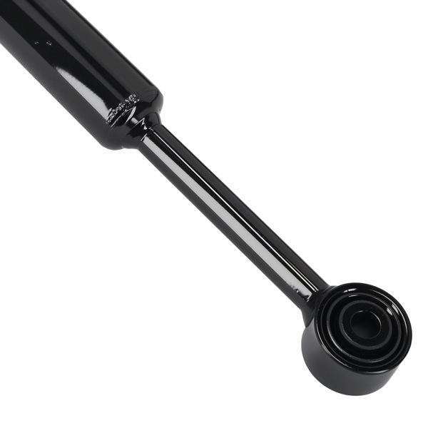 Suspension Rear Struts Absorber Assembly fit for Chrysler 200 2015-2017 2.4L 3.6L-4