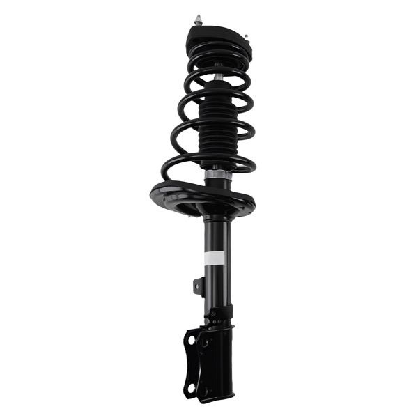Pair Rear Left & Right Complete Struts & Coil Spring fit for Toyota Avalon 2004 2005-1