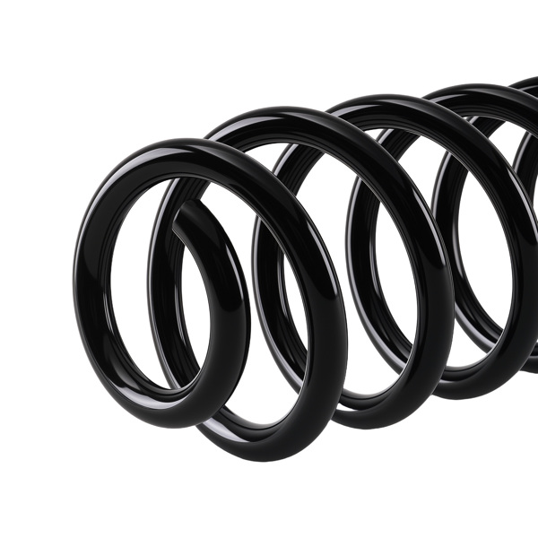 Pair Rear Left & Right Coil Spring fit for VW Passat 2006-2018 3.6L 3C0511115AD-4