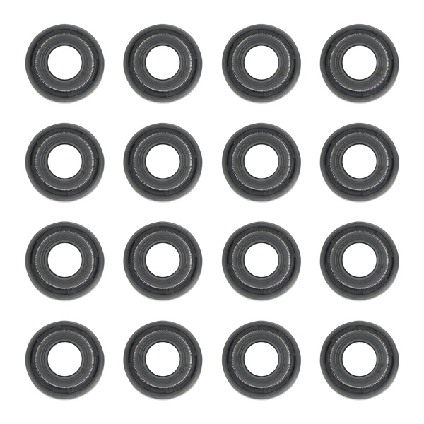 660 Lift Dual Valve Spring Set fit for LS1/LS2/LS6/LQ4/LQ9 4.8/6.0/6.2 SK001 SK001S-5