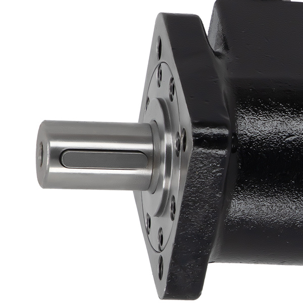 Hydraulic Motor 101-1008-009 1011008009 101-1008 fit for Eaton Char-Lynn H Series-3