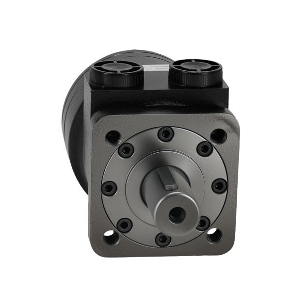 Hydraulic Motor 101-1009-009 fit for Eaton Char-Lynn H Series 4 BOLT STD-6