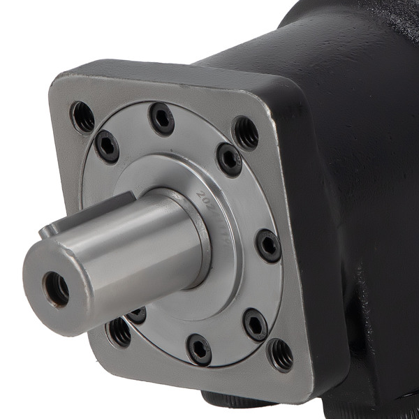 Hydraulic Motor 101-1008-009 1011008009 101-1008 fit for Eaton Char-Lynn H Series-1