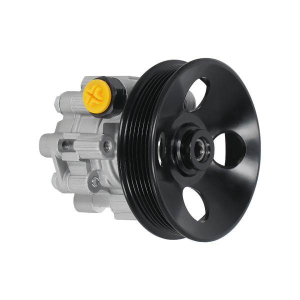Steering Pump w/ Pulley fit for Chevy Equinox GMC Terrain V6 3.0L 3.6L 10-17 21-4072-9