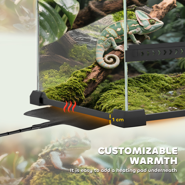 爬行动物玻璃露台-3