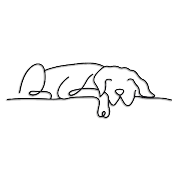 1 件极简主义金属狗墙面装饰品，融合吉特罗与波西米亚风格，适配客厅、卧室等多空间。兼具古典美学，可作万圣节装饰、新婚礼物与宠物爱好者礼品，满足多场景装饰需求。（TikTok、temu下自提）-2