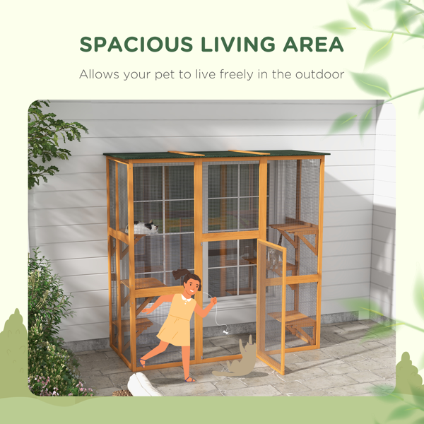 猫屋 （不支持无理由退货）-7