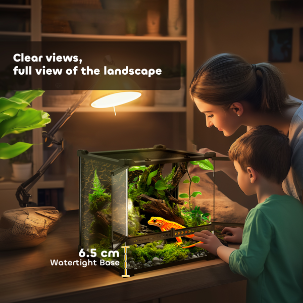 爬行动物玻璃露台-3