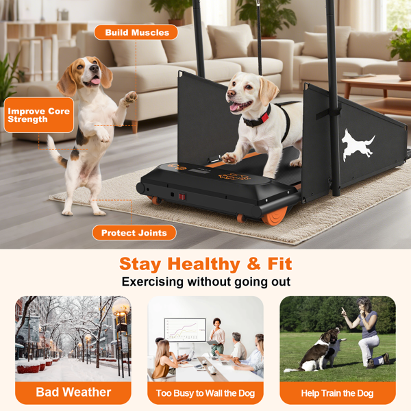 狗跑步机、中小型狗用宠物狗跑步机、重达220磅的狗用宠物跑步机、带液晶显示屏的健康和锻炼用耐用跑步机宠物健身跑步机-4