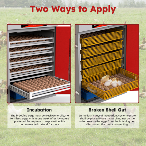 400枚鸡蛋孵化柜，带自动翻蛋和数字温度控制，大型商用家禽孵化柜，适用于鸡、鸭、鹅、鹌鹑蛋-6