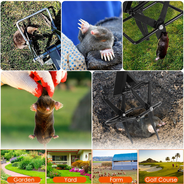 （物流随机发，自提可发加拿大）-强力鼹鼠夹——加厚防水金属材质，轻松踏步式安装，人道即刻致死，草坪与宠物，室内外通用-3