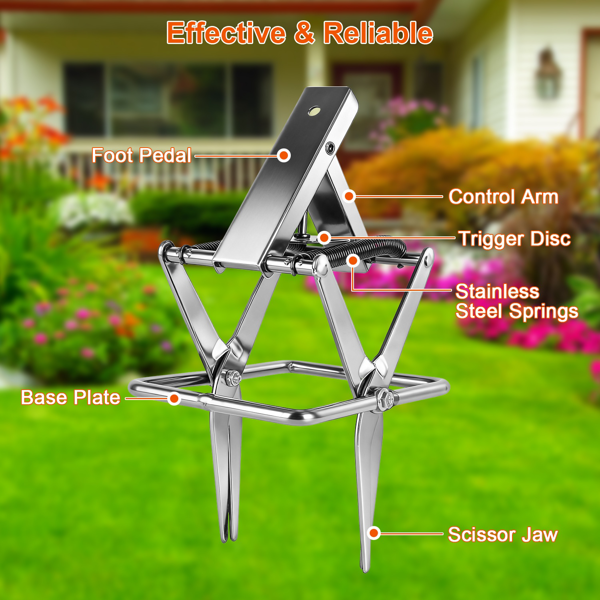 （物流随机发，自提可发加拿大）-强力鼹鼠夹——加厚防水金属材质，轻松踏步式安装，人道即刻致死，草坪与宠物，室内外通用-2