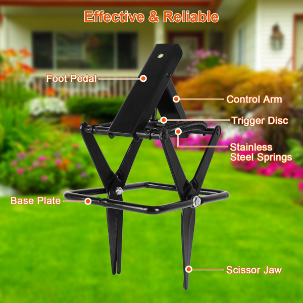 （物流随机发，自提可发加拿大）-强力鼹鼠夹——加厚防水金属材质，轻松踏步式安装，人道即刻致死，草坪与宠物，室内外通用-11