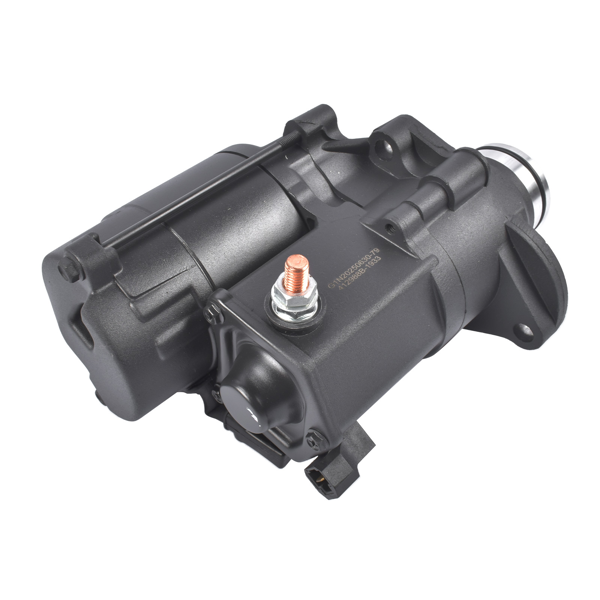 起动机 Starter Motor 12V CW Fit for Harley-Davidson Blackline CVO Dyna Electra Glide Road King 31619-06A 31619-06-3