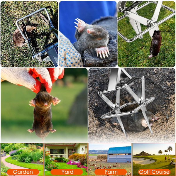 （物流随机发，自提可发加拿大）-强力鼹鼠夹——加厚防水金属材质，轻松踏步式安装，人道即刻致死，草坪与宠物，室内外通用-5