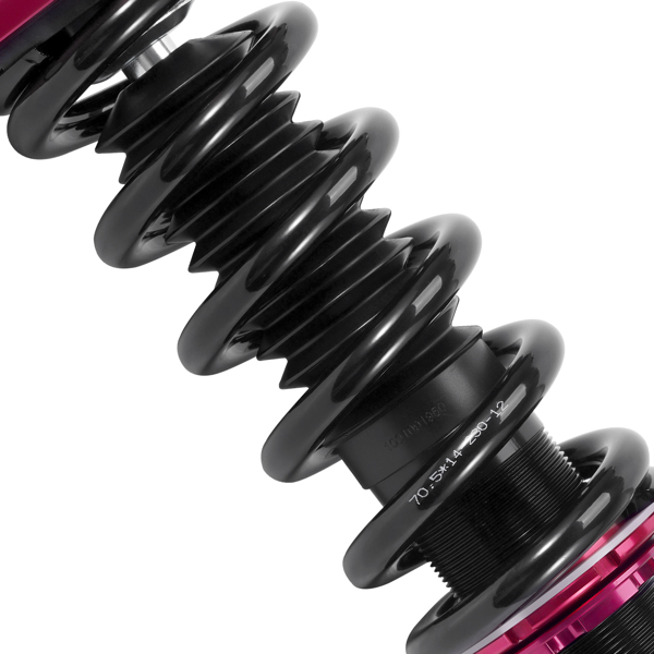 24档可调式绞牙避震器降低套件，适用于1998-2005款雷克萨斯GS300后轮驱动车型-6