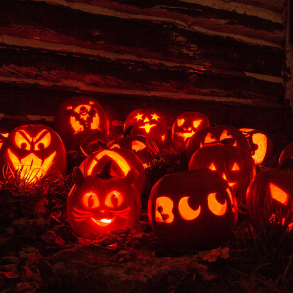 （物流随机发，自提可发加拿大）-13件套南瓜雕刻工具套装，万圣节南瓜灯全能工具组含挖勺、钻头、蚀刻工具、双面锯及雕刻工具——坚固不锈钢刀片，防滑木质手柄，适合家庭使用与新手入门-4