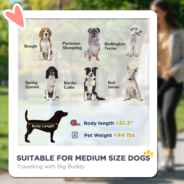 宠物慢跑推车（周末不发货）-4