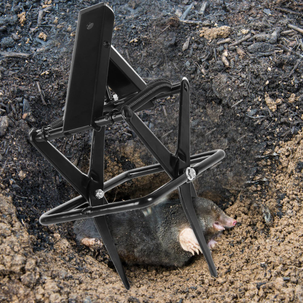 （物流随机发，自提可发加拿大）-强力鼹鼠夹——加厚防水金属材质，轻松踏步式安装，人道即刻致死，草坪与宠物，室内外通用-9