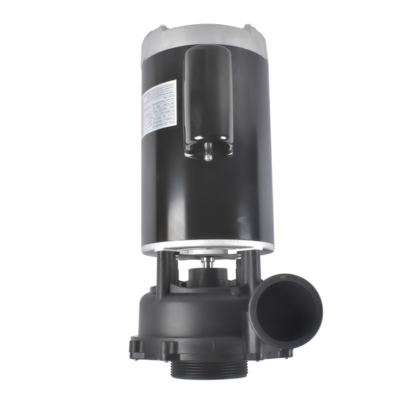 泳池水泵 4 HP 230V 2-Speed Executive 56 Frame Spa Pump Black Side Discharge 3721621-13-5