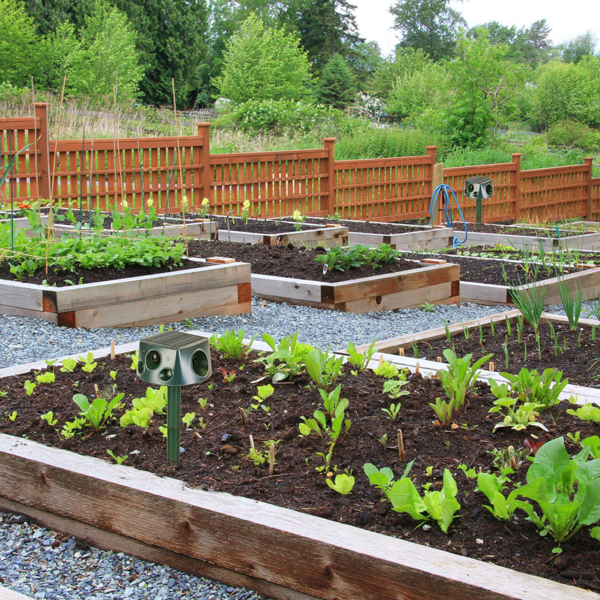 （自提可发加拿大，temu&tk下自提单）太阳能&Type-C充电式动物驱赶器 - 三种模式：超声波+蜂鸣器+振动，IP66防水等级，2200mAh电池，驱赶鼹鼠、蝙蝠、松鼠、鸟类，适用于庭院、花园、农场-5