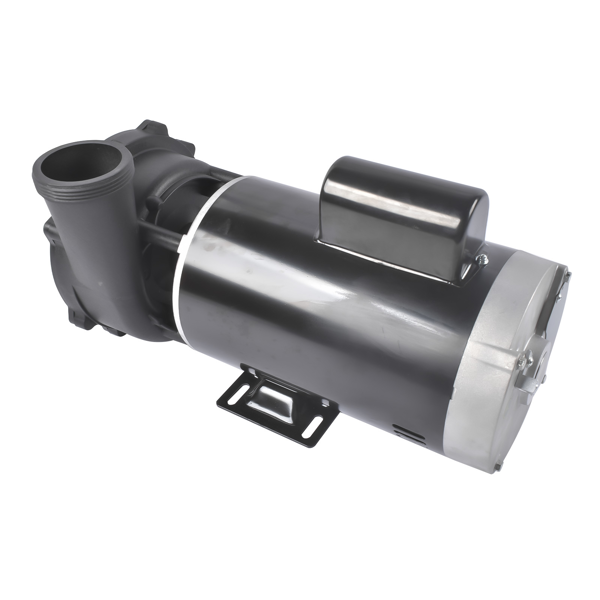 泳池水泵 4 HP 230V 2-Speed Executive 56 Frame Spa Pump Black Side Discharge 3721621-13-2