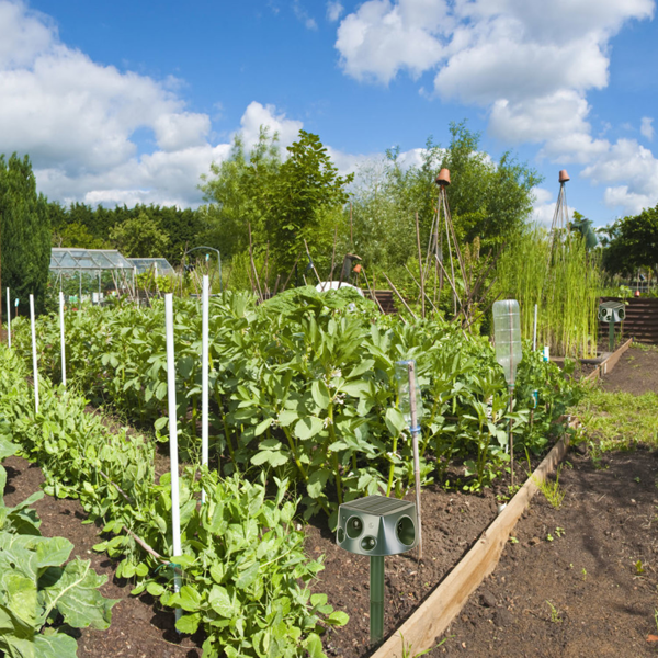 （自提可发加拿大，temu&tk下自提单）太阳能&Type-C充电式动物驱赶器 - 三种模式：超声波+蜂鸣器+振动，IP66防水等级，2200mAh电池，驱赶鼹鼠、蝙蝠、松鼠、鸟类，适用于庭院、花园、农场-4