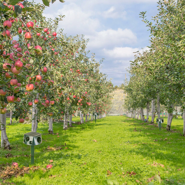 （自提可发加拿大，temu&tk下自提单）太阳能&Type-C充电式动物驱赶器 - 三种模式：超声波+蜂鸣器+振动，IP66防水等级，2200mAh电池，驱赶鼹鼠、蝙蝠、松鼠、鸟类，适用于庭院、花园、农场-8