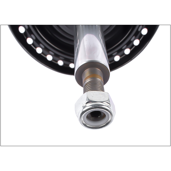 减震器 2Pcs Front Shock Absorbers Fit for Mercedes-Benz R171 SLK300 SLK350 SLK55 AMG A1713200130-8