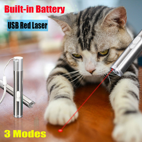 2支3合1 1mw USB可充电宠物玩具笔手电筒红色激光光束紫外灯3模式灯-10