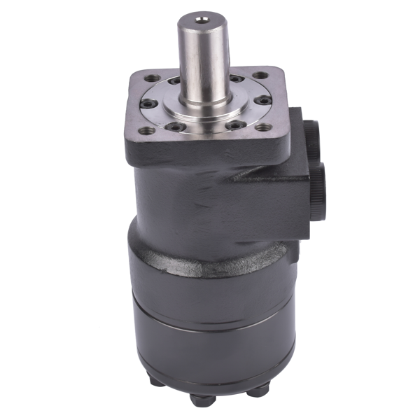 液压马达 Hydraulic Motor 101-1013 101-1013-009 Fits For Eaton Char-Lynn H Series-2