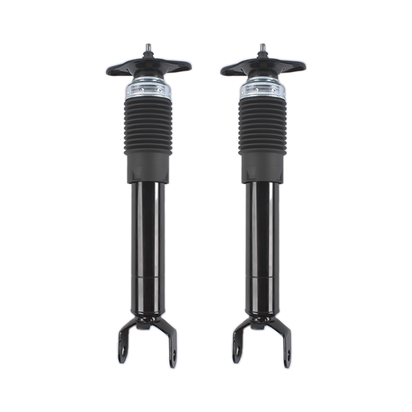 减震器 Set of 2 Rear Shock Absorbers w/ Magnetic Fit for Cadillac XLR 2004-2009 Corvette C5 C6-4
